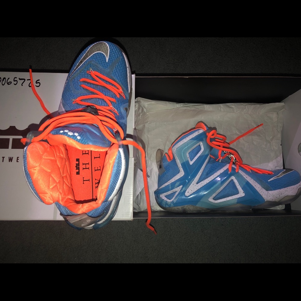 Lebron XII elite edition shoes